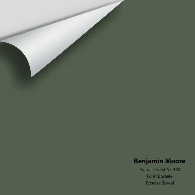 Benjamin Moore - Boreal Forest AF-480 Colour Sample