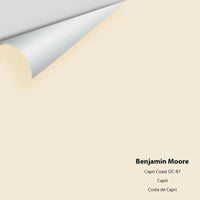 Benjamin Moore - Capri Coast OC-87 Colour Sample