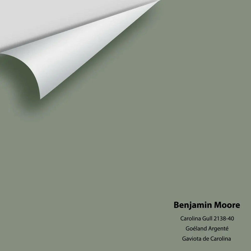 Benjamin Moore - Carolina Gull 2138-40 Colour Sample