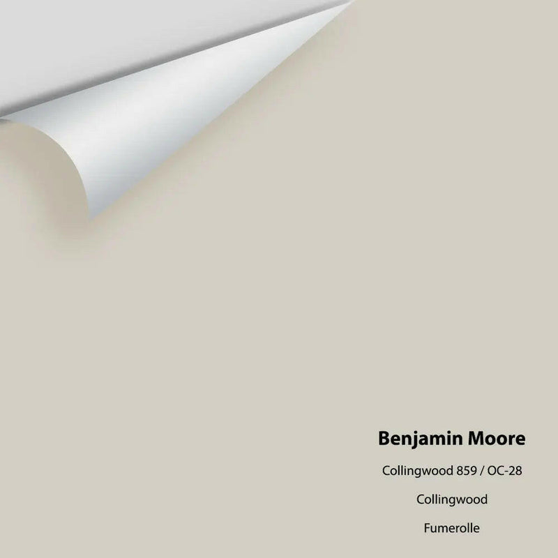 Benjamin Moore Top Box - Greiges - Colour Squared Inc.