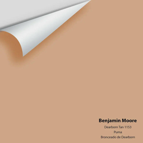 Big Paint Chip - Dearborn Tan 1153
