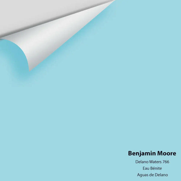 Big Paint Chip - Delano Waters 766