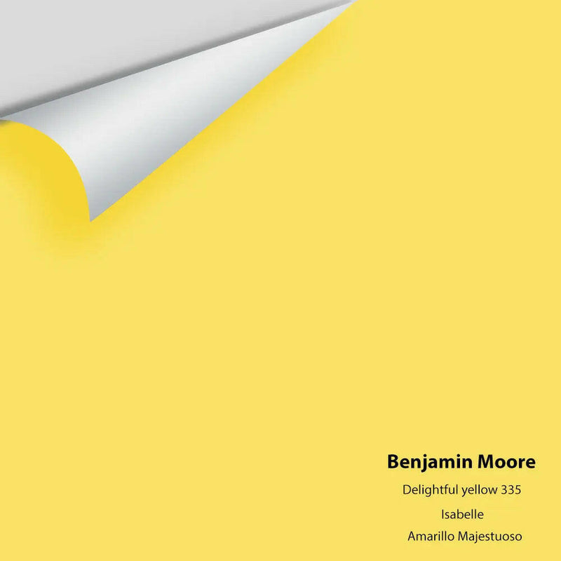 Big Paint Chip - Delightful Yellow 335