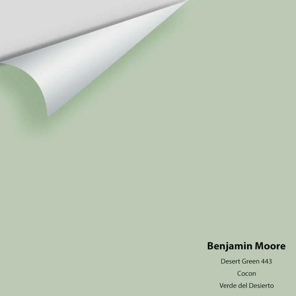Big Paint Chip - Desert Green 443
