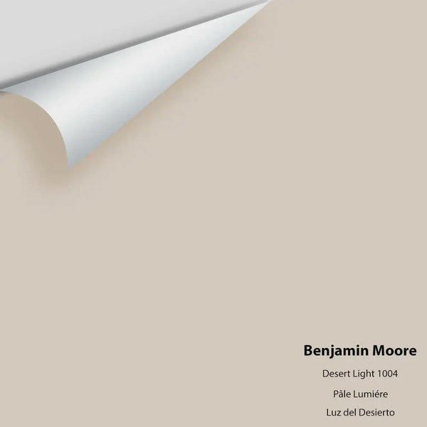 Big Paint Chip - Desert Light 1004