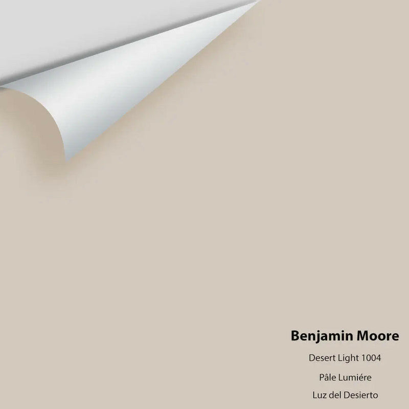 Big Paint Chip - Desert Light 1004