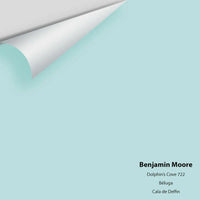 Big Paint Chip - Dolphin's Cove 722
