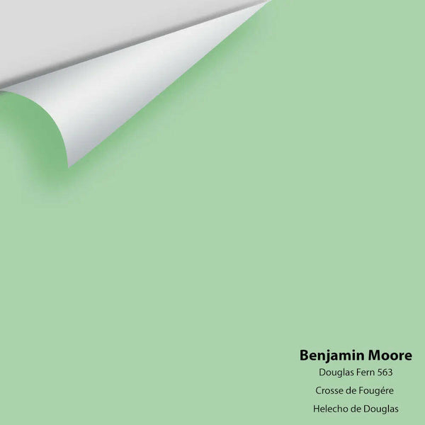 Big Paint Chip - Douglas Fern 563