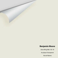 Benjamin Moore - Dove Wing 960 / OC-18 Colour Sample