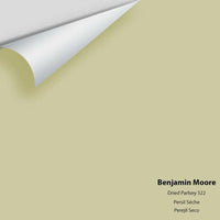 Benjamin Moore - Dried Parsley 522 Colour Sample