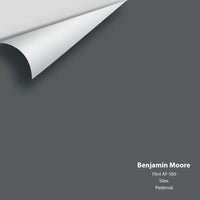 Benjamin Moore - Flint AF-560 Colour Sample