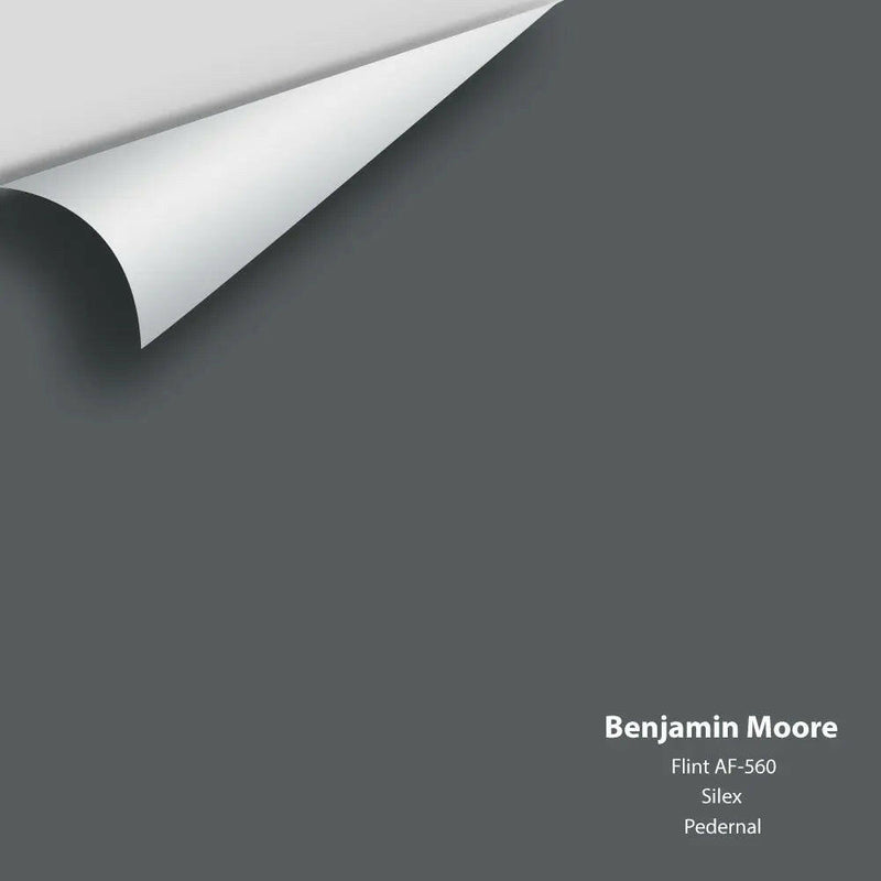 Benjamin Moore - Flint AF-560 Colour Sample