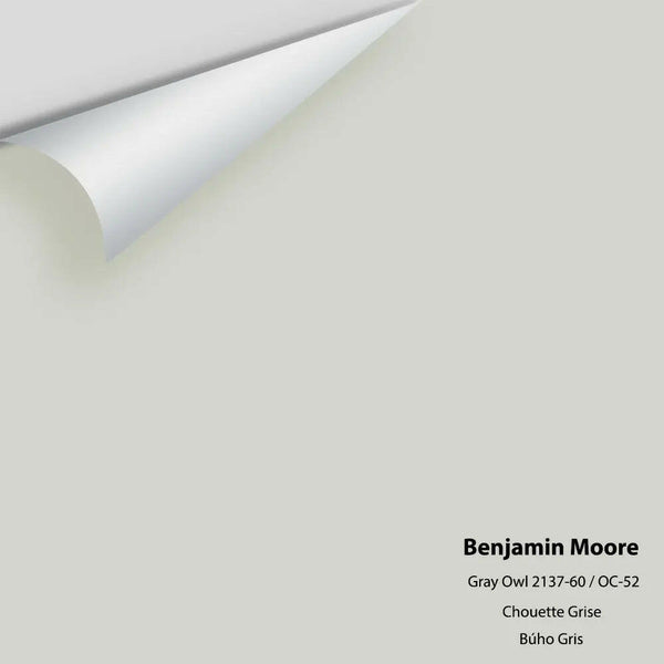 Benjamin Moore - Gray Owl 2137-60 / OC-52 Colour Sample