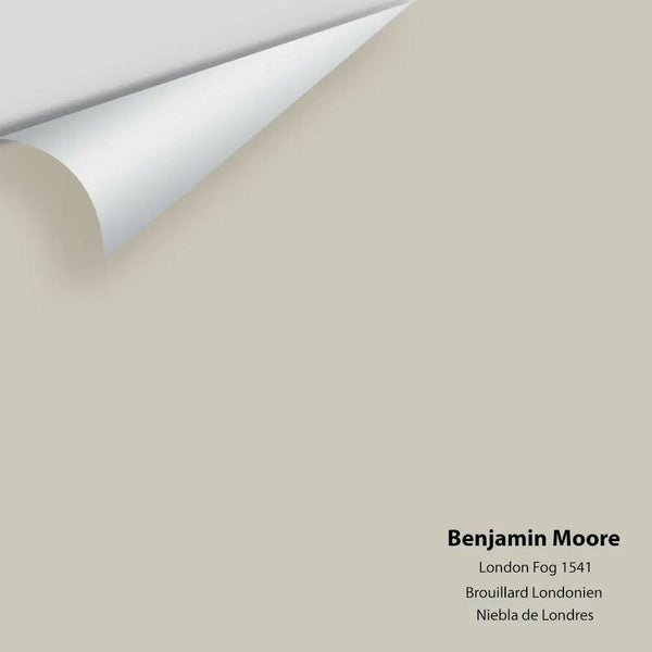 Benjamin Moore - London Fog 1541 Colour Sample