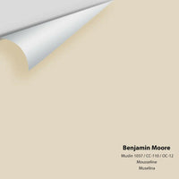 Benjamin Moore - Muslin 1037 / CC-110 / OC-12 Colour Sample