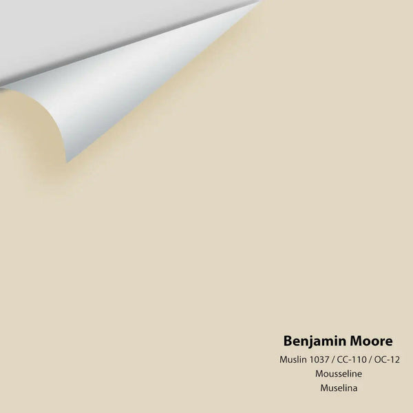 Benjamin Moore - Muslin 1037 / CC-110 / OC-12 Colour Sample