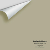 Benjamin Moore - Nantucket Gray HC-111 Colour Sample