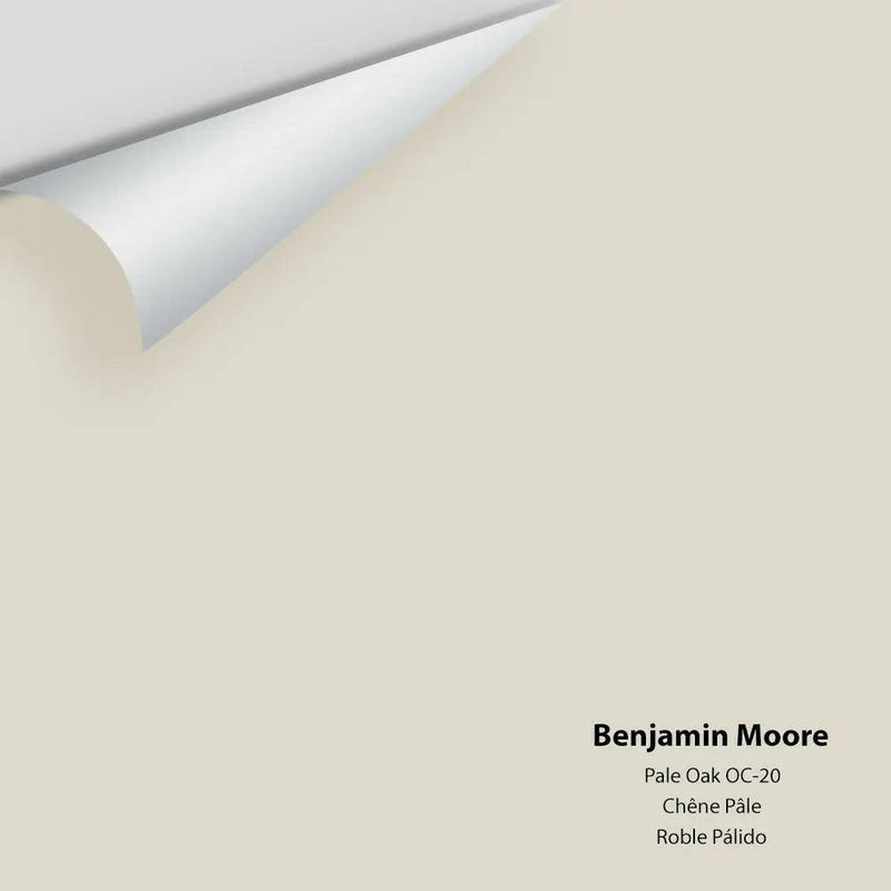 Benjamin Moore Top Box - Greiges - Colour Squared Inc.