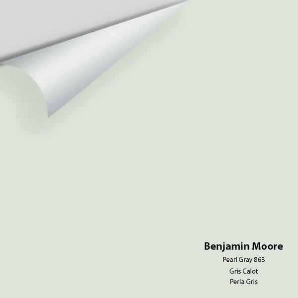 Big Paint Chip - Pearl Gray 863