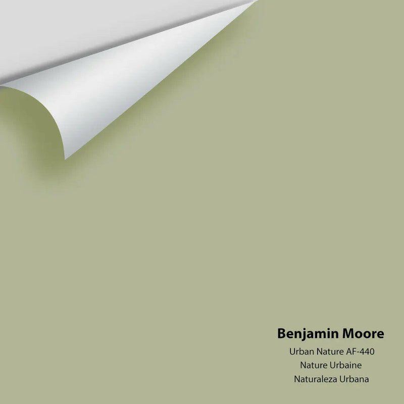 Benjamin Moore - Urban Nature AF-440 Colour Sample