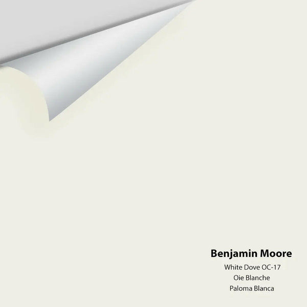 Benjamin Moore - White Dove OC-17 Colour Sample