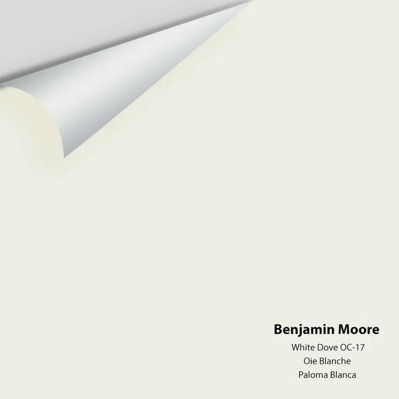 Benjamin Moore - White Dove OC-17 Colour Sample