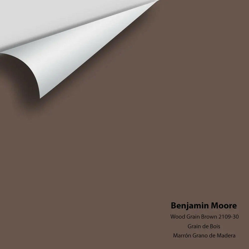 Big Paint Chip - Wood Grain Brown 2109-30