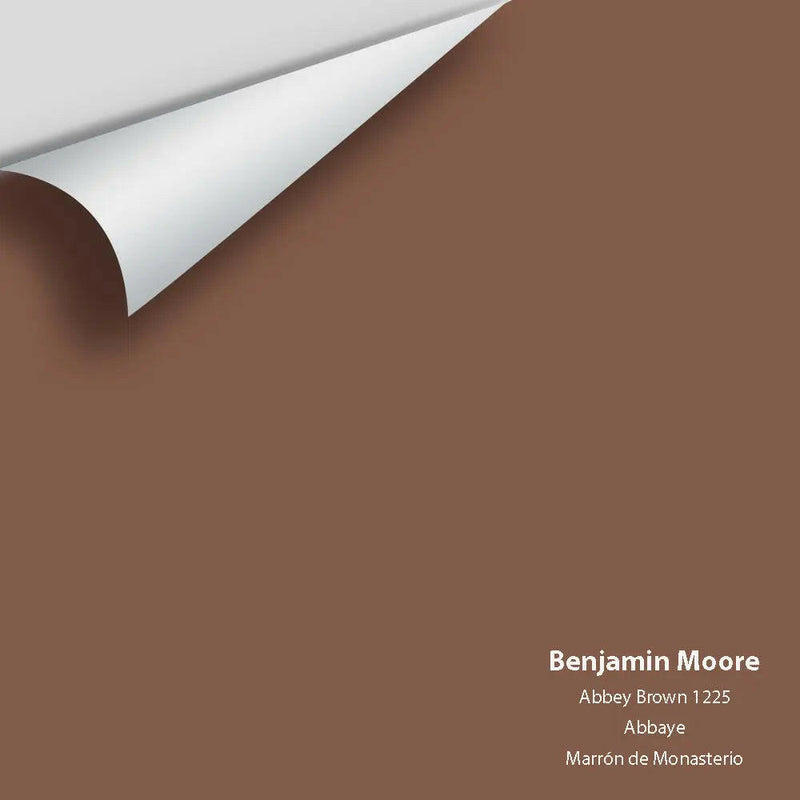 Big Paint Chip - Abbey Brown 1225