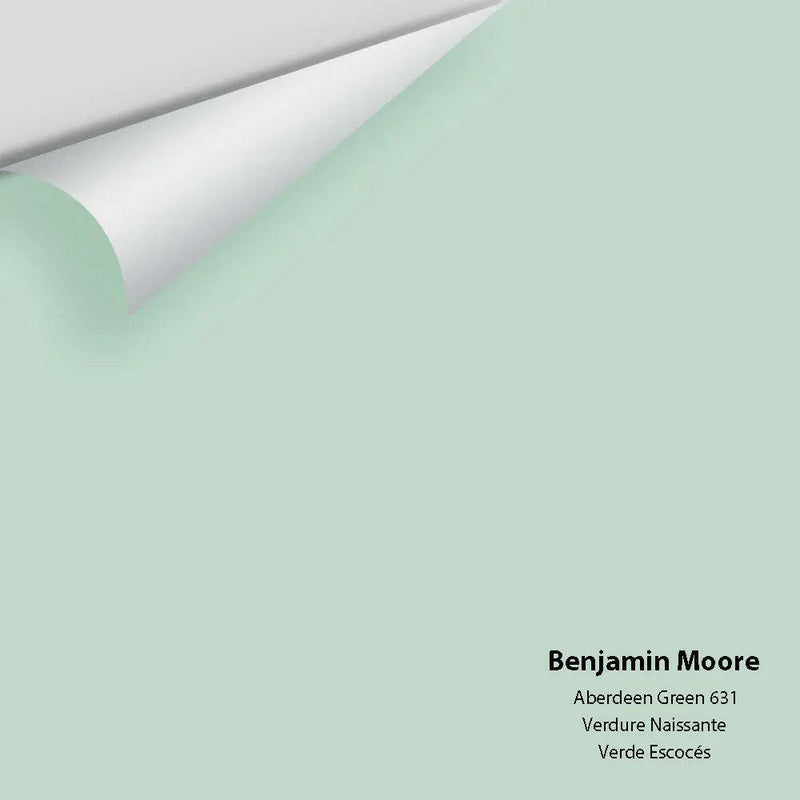 Big Paint Chip - Aberdeen Green 631