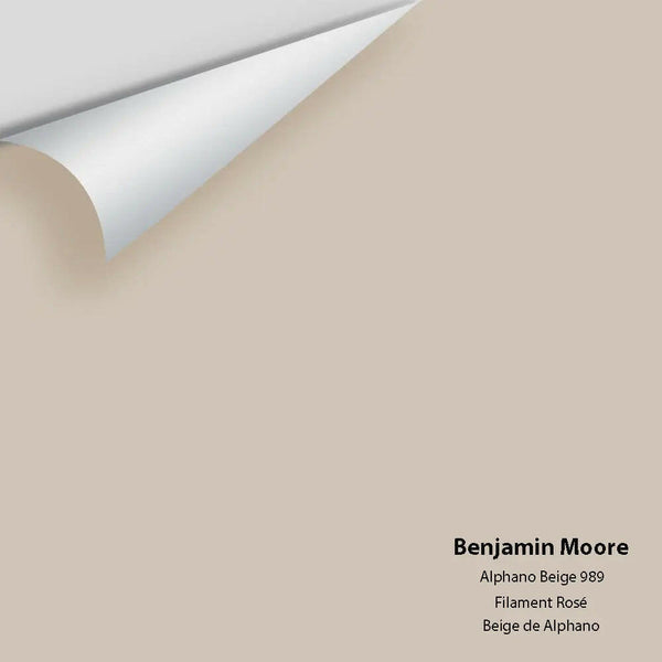Big Paint Chip - Alphano Beige 989