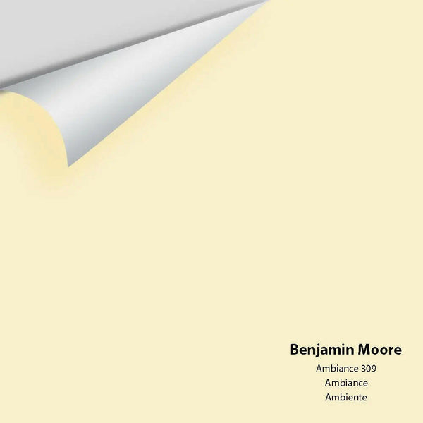 Big Paint Chip - Ambiance 309
