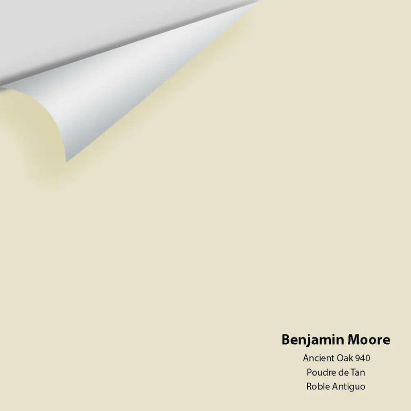 Benjamin Moore - Ancient Oak 940 Colour Sample