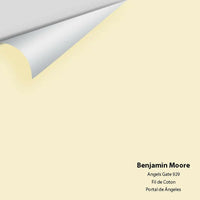 Big Paint Chip - Angel's Gate 929