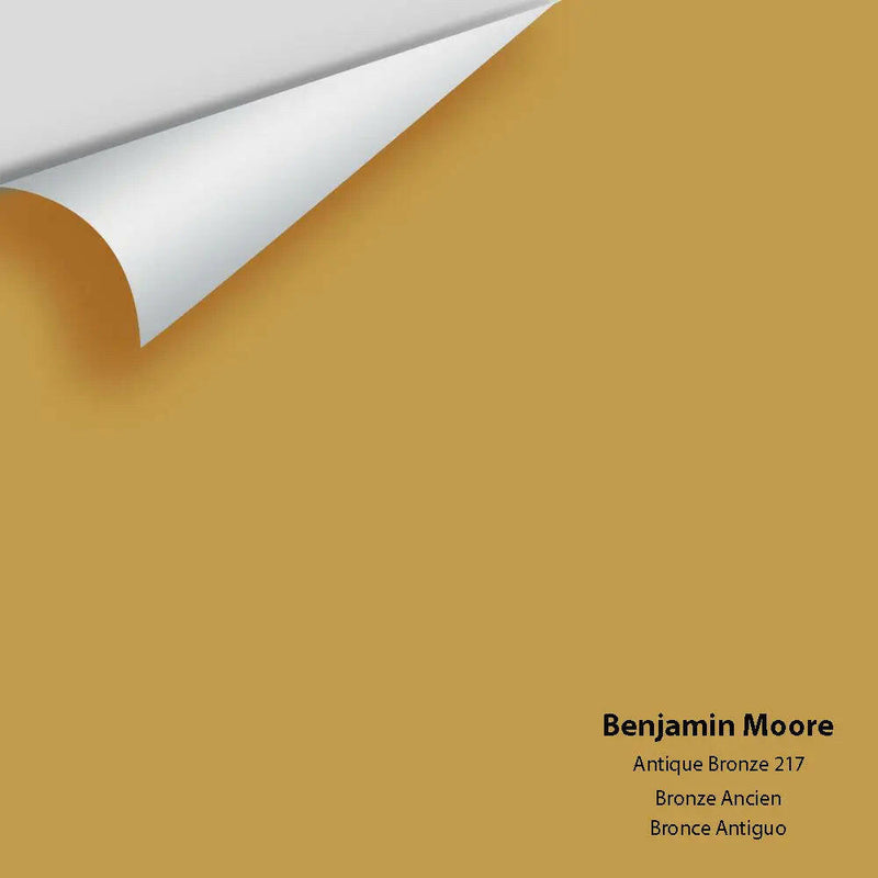 Big Paint Chip - Antique Bronze 217
