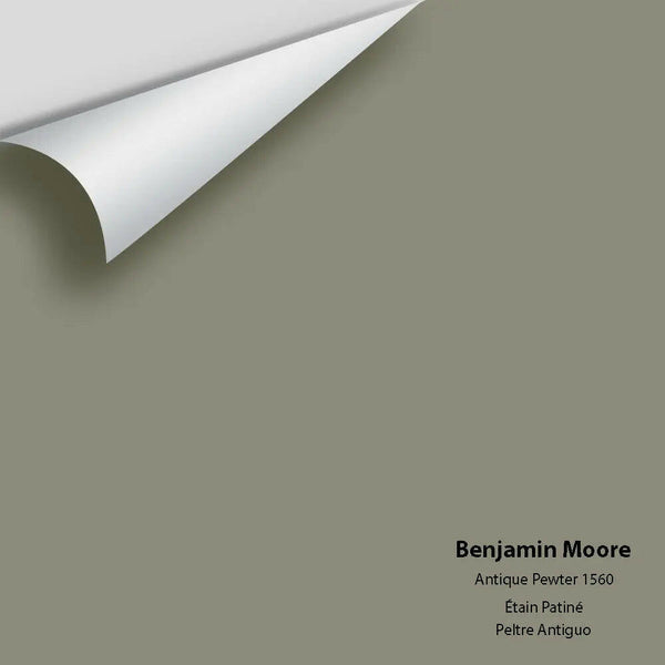 Benjamin Moore - Antique Pewter 1560 Colour Sample