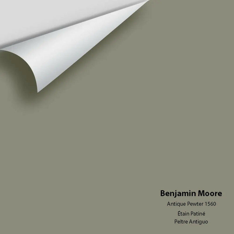 Benjamin Moore - Antique Pewter 1560 Colour Sample