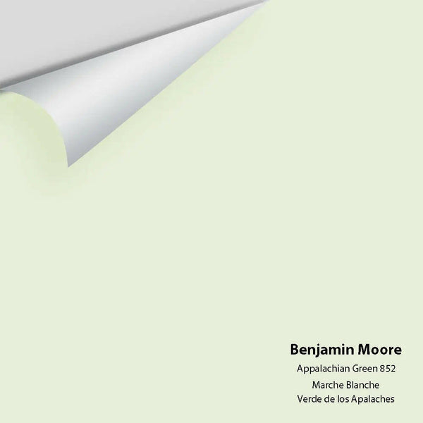 Big Paint Chip - Appalachian Green 852