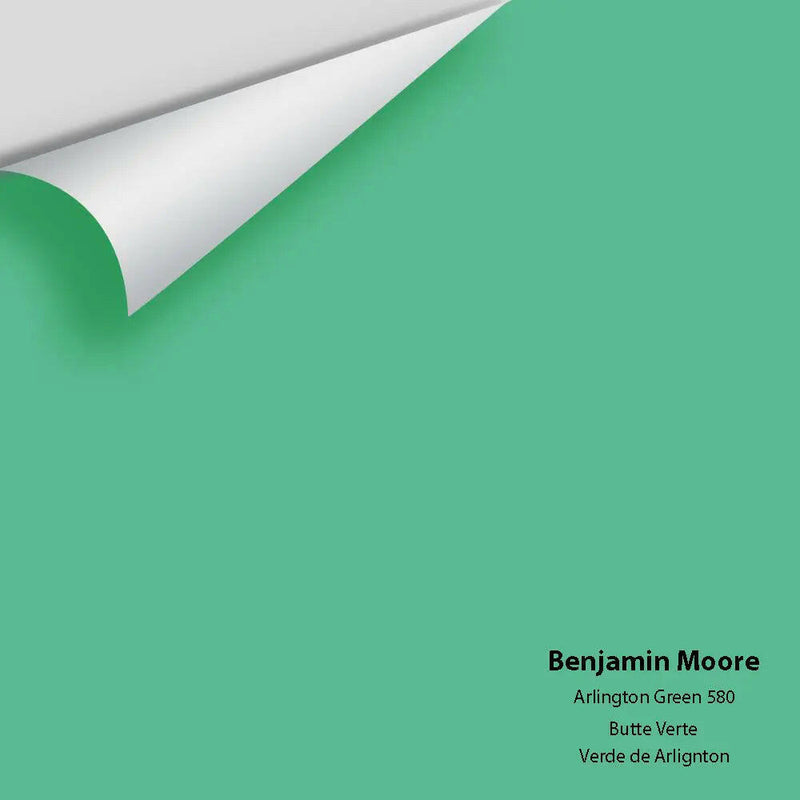 Big Paint Chip - Arlington Green 580
