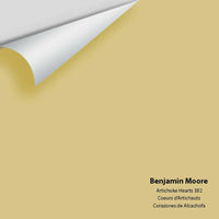 Big Paint Chip - Artichoke Hearts 382 Colour Sample