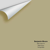 Benjamin Moore - Baby Turtle 515 Colour Sample