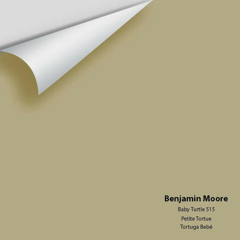 Benjamin Moore - Baby Turtle 515 Colour Sample