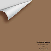 Big Paint Chip - Baked Pretzel 1126