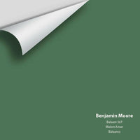 Big Paint Chip - Balsam 567