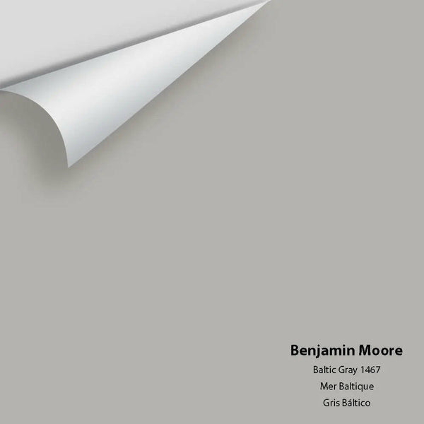 Big Paint Chip - Baltic Gray 1467 Colour Sample
