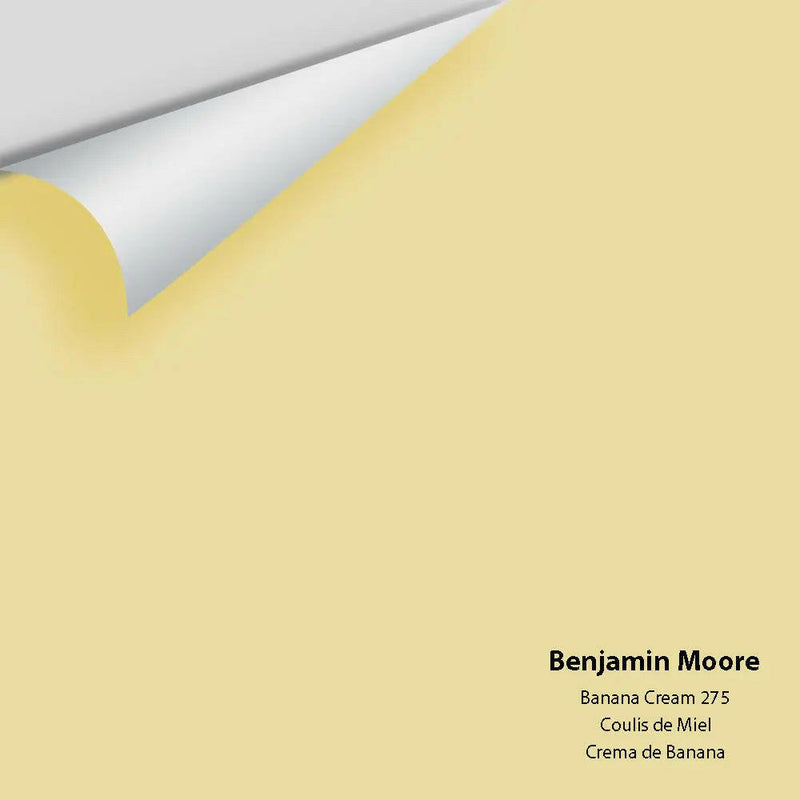 Big Paint Chip - Banana Cream 275