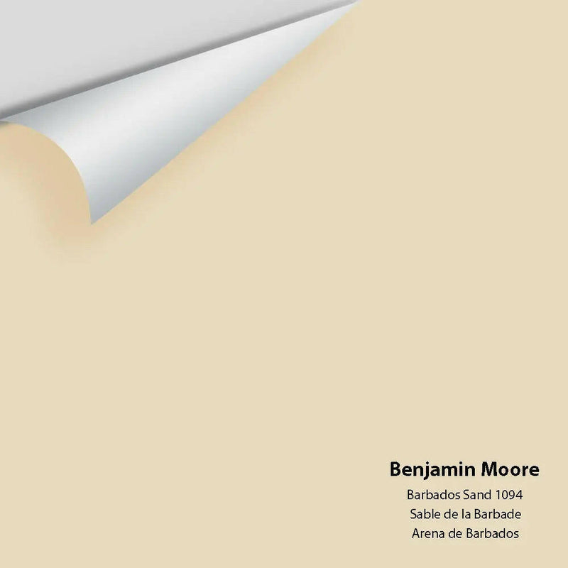 Big Paint Chip - Barbados Sand 1094