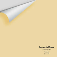 Big Paint Chip - Barley 199 / CC-180