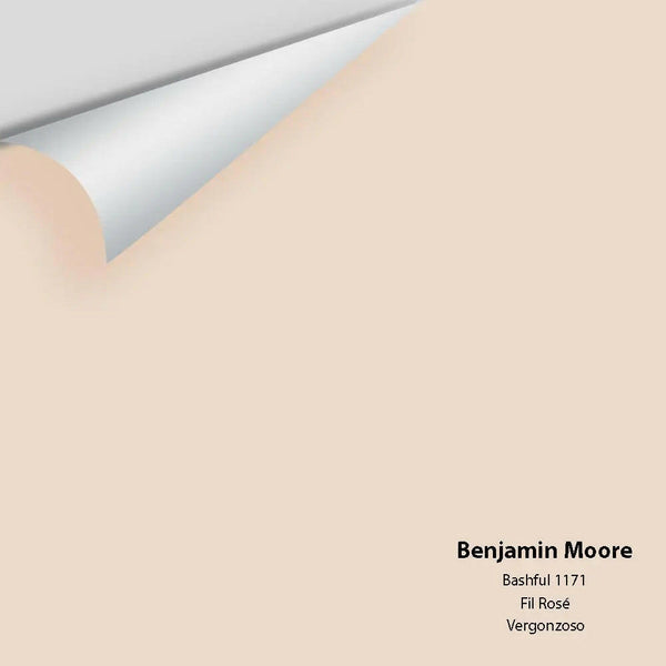 Big Paint Chip - Bashful 1171