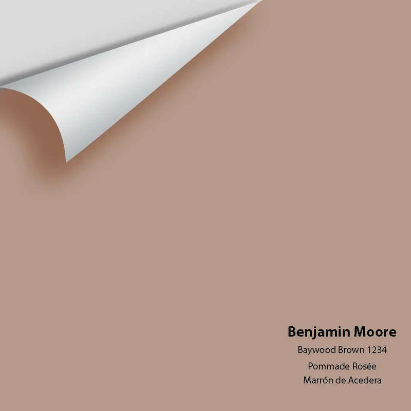 Big Paint Chip - Baywood Brown 1234