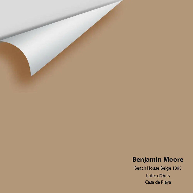 Big Paint Chip - Beach House Beige 1083